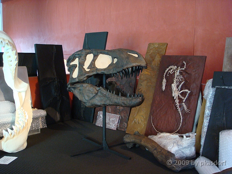 012 Cranbrook Institute of Science [2008 Jan 02].JPG